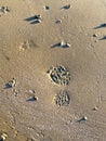 Footstep in the sand takes you to the future Royalty Free Stock Photo
