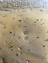 Footstep in the sand takes you to the future Royalty Free Stock Photo