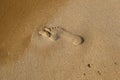 Footstep in the sandy beach, Loneliness