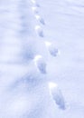 Footstep on snow