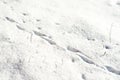 Footstep on the snow Royalty Free Stock Photo