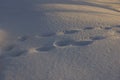 Footstep on snow in the Park Royalty Free Stock Photo