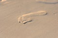 Footstep in sunny beach sand Royalty Free Stock Photo