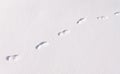 Footstep trails at snow by sunny day Royalty Free Stock Photo