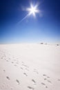 Footstep trails at snow by sunny day Royalty Free Stock Photo