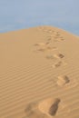 Footsteps Royalty Free Stock Photo