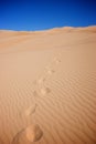 Footsteps Across Sand Dunes Royalty Free Stock Photo