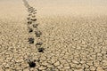 Footsteps in arid land Royalty Free Stock Photo