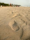 Footsteps on the beach