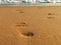 Escaleras sobre el Playa 