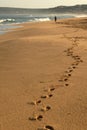 Footsteps in the beach Royalty Free Stock Photo