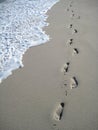 Footsteps at the beach Royalty Free Stock Photo