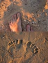 Footsteps on beach Royalty Free Stock Photo