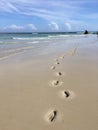 Footsteps on the beach