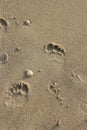 Footsteps on the beach