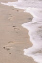 Footsteps on beach near water Royalty Free Stock Photo