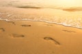 Footsteps on the beach by the sea Royalty Free Stock Photo