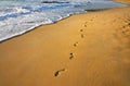 Footsteps on the beach and water Royalty Free Stock Photo