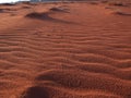 Footsteps. Bird footsteps in sand in the desert. Wadi Rum desert. Jordan. Red desert