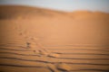 Footsteps in a desert