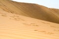 Footsteps in desert Royalty Free Stock Photo