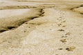 Footsteps Royalty Free Stock Photo