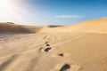 Footsteps in the desert of Qatar
