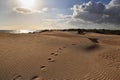 Footsteps in the desert