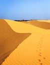 Footsteps in desert