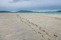 Footsteps disappearing into the distance on the sandy beach