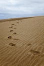 Footsteps at the dune near Villa Gesell