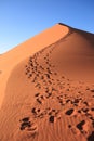 Footsteps on dune Royalty Free Stock Photo