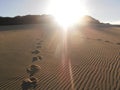 Footsteps through a dune Royalty Free Stock Photo