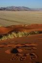 Footsteps on Elim dune in Namibia Royalty Free Stock Photo