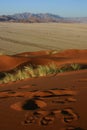 Footsteps on Elim dune in Namibia