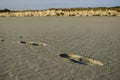 Footsteps and Footprints in the Sand on a Beach  Abstract  Free space for text Royalty Free Stock Photo