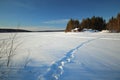 Footsteps on frozen solid lake Norsjon in Vasterbotten, Sweden