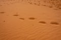 Footsteps on the hot sand of the Sahara Desert in Africa
