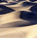 Footsteps in the Mesquite Sand Dunes in Death Valley Royalty Free Stock Photo