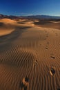 Footsteps on Mesquite Sand Dunes, Death Valley National Park Royalty Free Stock Photo