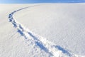 Footsteps in new snow Royalty Free Stock Photo