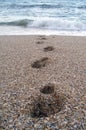 Footsteps from the ocean