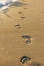 Footsteps in the sand