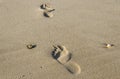 Footsteps in the sand on the beach Royalty Free Stock Photo