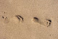 Footsteps on sand on the beach at sunset