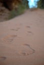 Footsteps in sand, Desert tour through sand dunes of Wadi Rum wilderness, Jordan, Middle East, hiking, climbing, driving Royalty Free Stock Photo