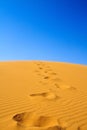 Footsteps on sand dunes Royalty Free Stock Photo