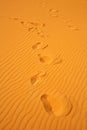 Footsteps on sand dunes Royalty Free Stock Photo