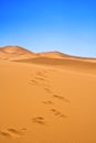 Footsteps on sand dunes Royalty Free Stock Photo