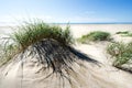 Footsteps in the sand